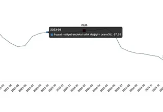 İnşaat Maliyet Endeksi, Şubat 2025