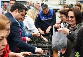 Lüleburgaz Belediyesi’nden vatandaşlara 20 bin adet fide