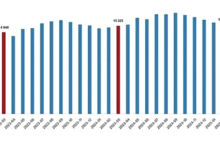 Ücretli Çalışan İstatistikleri, Mart 2025