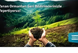 Atlas Copco Türkiye’den Yanan Ormanlara Umut: Her Müşteri Geri Bildirimi Bir Fidana Dönüşüyor
