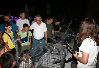 Kemer’de sokak hayvanları yararına ikinci konser