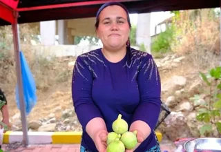 Menemen’de Bozalan İncir Festivali heyecanı yaşanacak