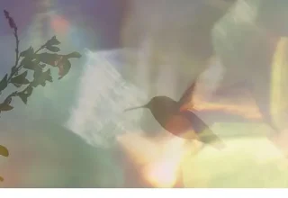 Yapı Kredi bomontiada TV+ ile Açık Havada Sinema’da bu hafta: “Every Little Thing”