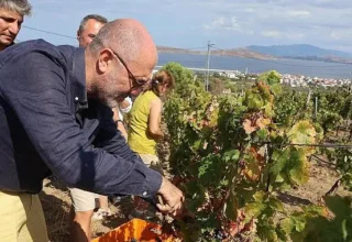 6–7 Eylül’de Bir Başkadır Avşa Etkinliği’nin Programı Açıklandı